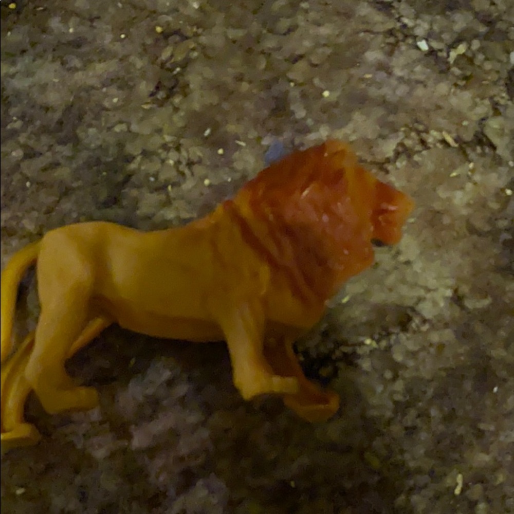Tiger figuring. - Picture 1 of 9